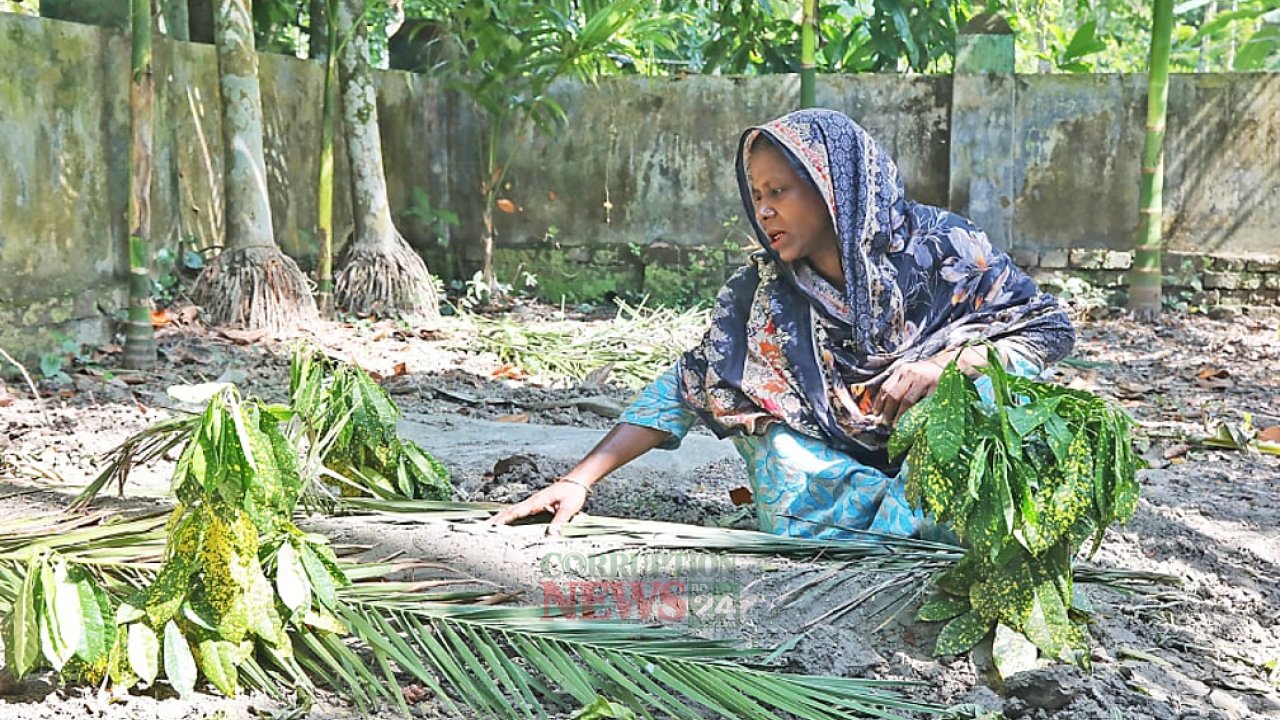 বাংলাদেশের সার্বভৌমত্ব সংকোচন: ডি-সভেরেনাইজেশনের উন্মোচিত বাস্তবতা