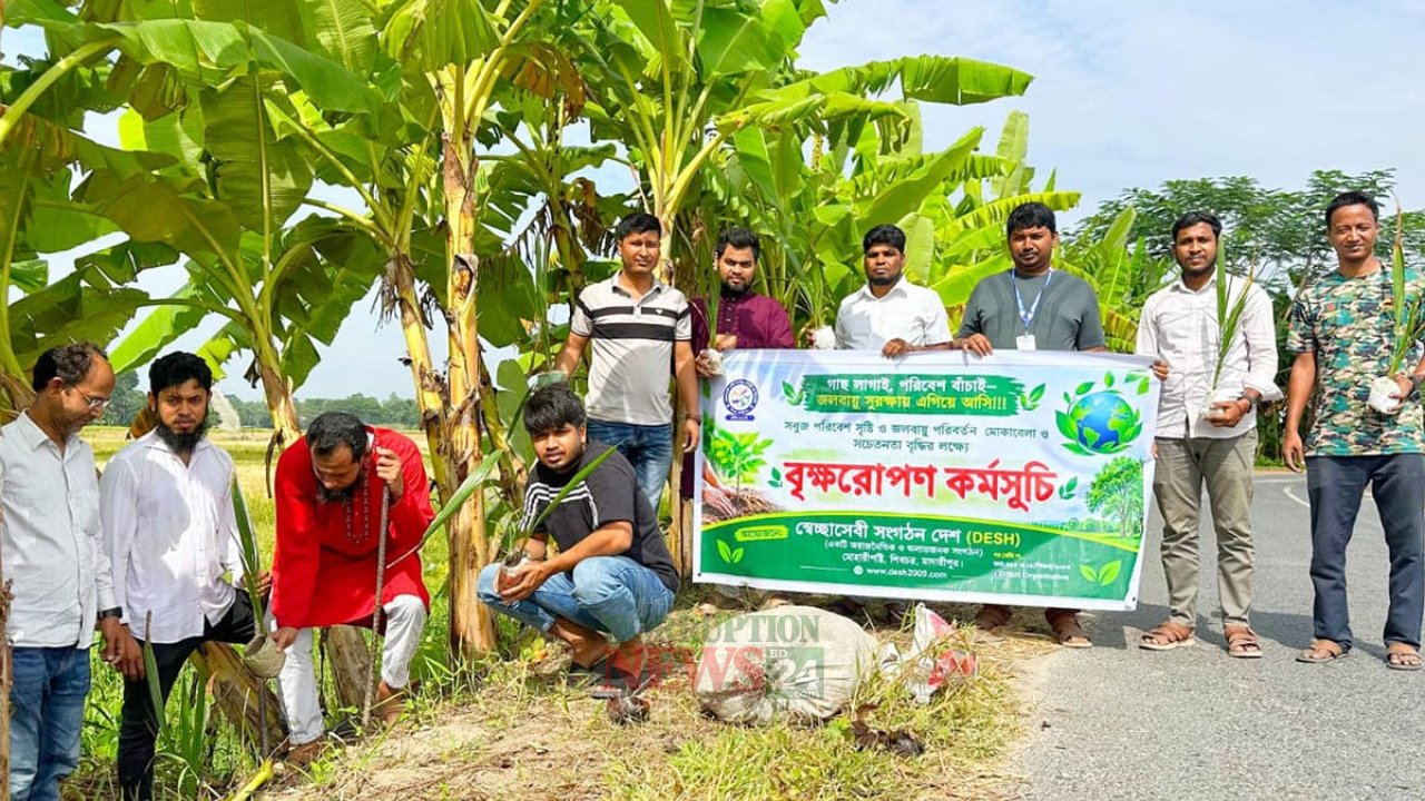 শিবচরে দুই দফায় ২,০০০ তালের বীজ রোপণ, সবুজায়ন উদ্যোগে স্বেচ্ছাসেবী সংগঠন সক্রিয়
